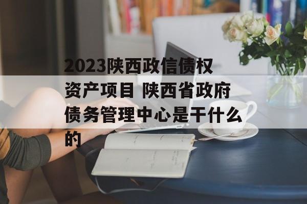 2023陕西政信债权资产项目 陕西省政府债务管理中心是干什么的