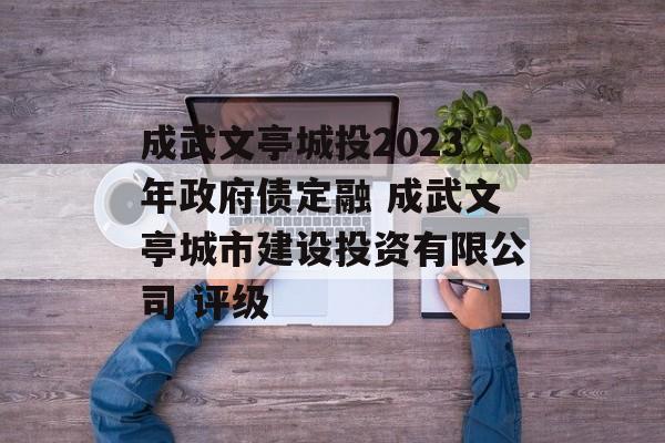 成武文亭城投2023年政府债定融 成武文亭城市建设投资有限公司 评级