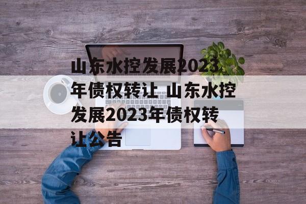 山东水控发展2023年债权转让 山东水控发展2023年债权转让公告