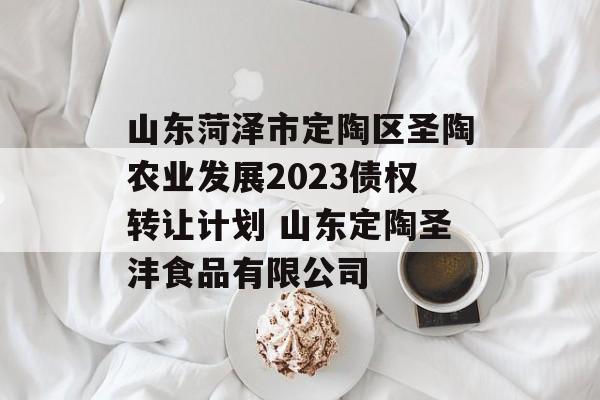 山东菏泽市定陶区圣陶农业发展2023债权转让计划 山东定陶圣沣食品有限公司