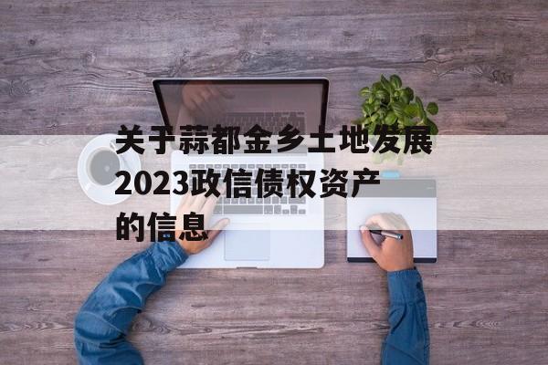 关于蒜都金乡土地发展2023政信债权资产的信息