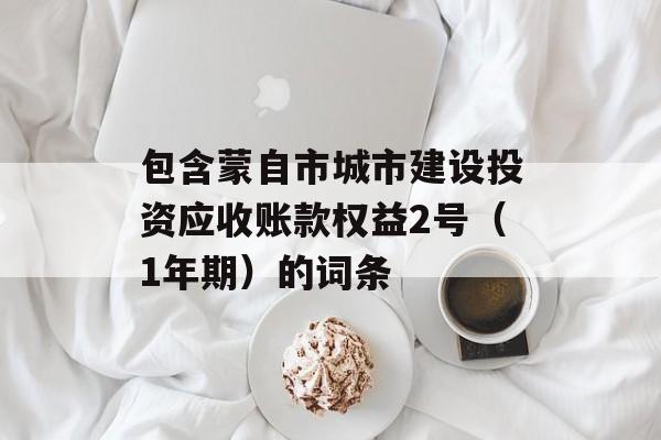 包含蒙自市城市建设投资应收账款权益2号（1年期）的词条