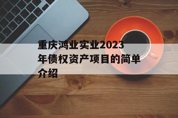 重庆鸿业实业2023年债权资产项目的简单介绍