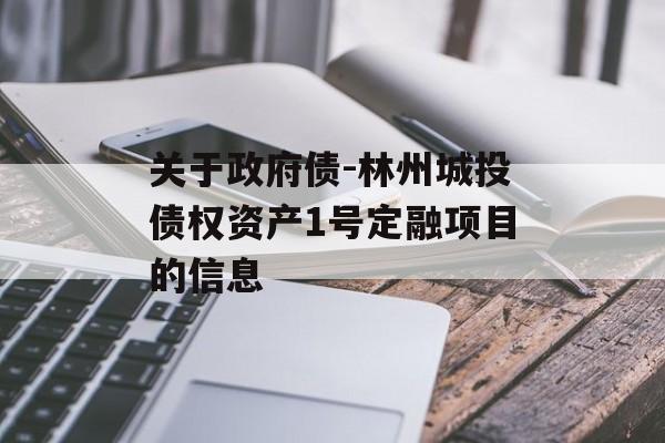 关于政府债-林州城投债权资产1号定融项目的信息