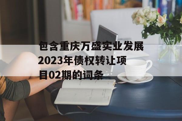 包含重庆万盛实业发展2023年债权转让项目02期的词条