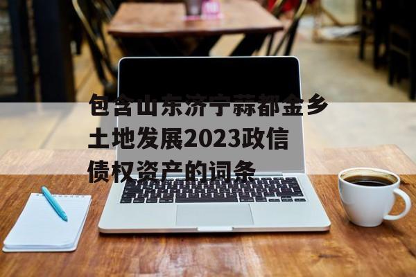 包含山东济宁蒜都金乡土地发展2023政信债权资产的词条