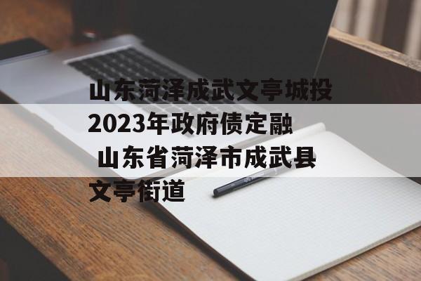 山东菏泽成武文亭城投2023年政府债定融 山东省菏泽市成武县文亭街道