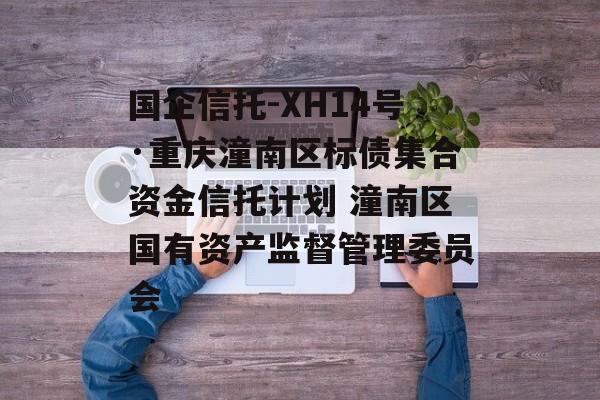 国企信托-XH14号·重庆潼南区标债集合资金信托计划 潼南区国有资产监督管理委员会