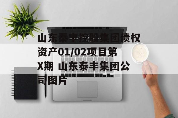 山东泰丰控股集团债权资产01/02项目第X期 山东泰丰集团公司图片