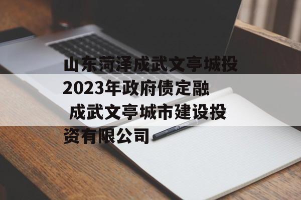 山东菏泽成武文亭城投2023年政府债定融 成武文亭城市建设投资有限公司