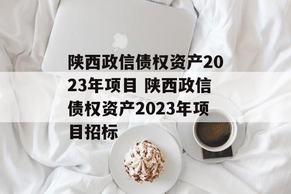 陕西政信债权资产2023年项目 陕西政信债权资产2023年项目招标