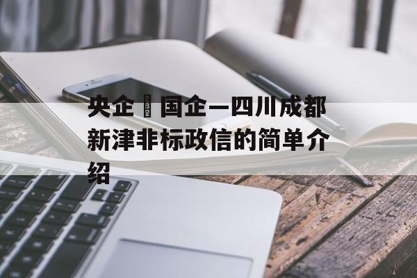 央企➕国企—四川成都新津非标政信的简单介绍