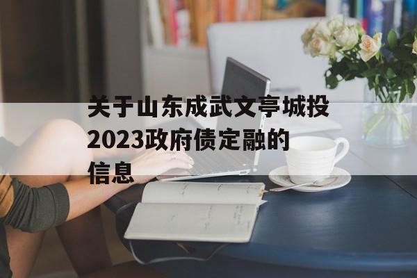 关于山东成武文亭城投2023政府债定融的信息