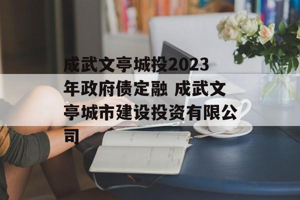 成武文亭城投2023年政府债定融 成武文亭城市建设投资有限公司