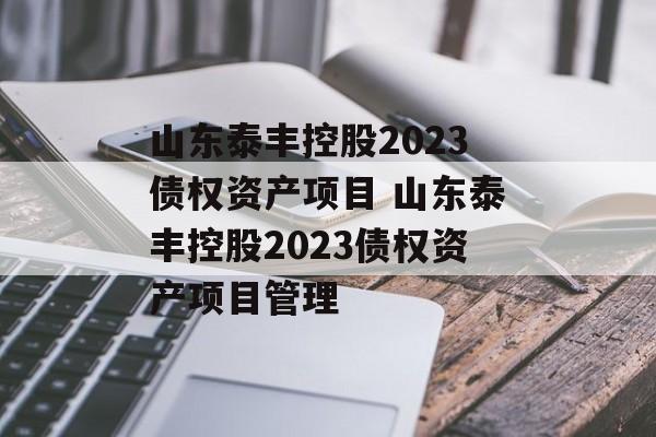 山东泰丰控股2023债权资产项目 山东泰丰控股2023债权资产项目管理