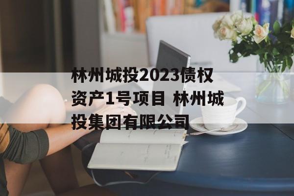 林州城投2023债权资产1号项目 林州城投集团有限公司