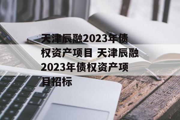 天津辰融2023年债权资产项目 天津辰融2023年债权资产项目招标