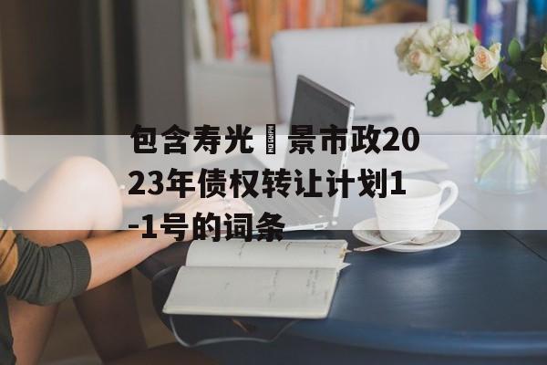 包含寿光昇景市政2023年债权转让计划1-1号的词条