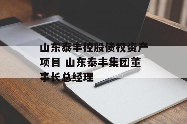 山东泰丰控股债权资产项目 山东泰丰集团董事长总经理