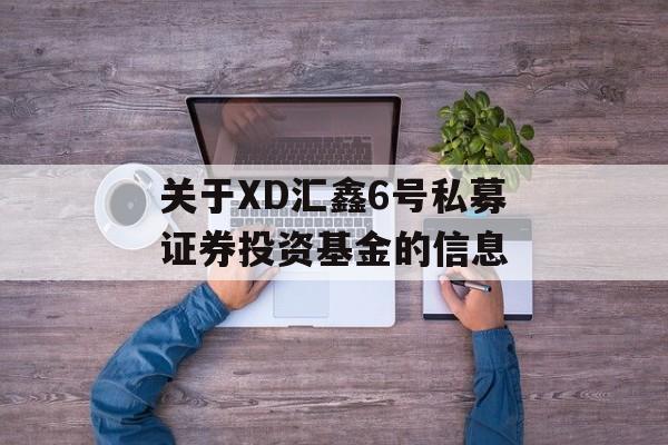 关于XD汇鑫6号私募证券投资基金的信息