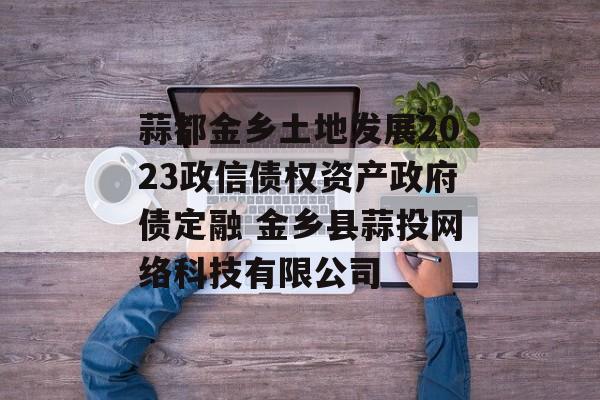 蒜都金乡土地发展2023政信债权资产政府债定融 金乡县蒜投网络科技有限公司