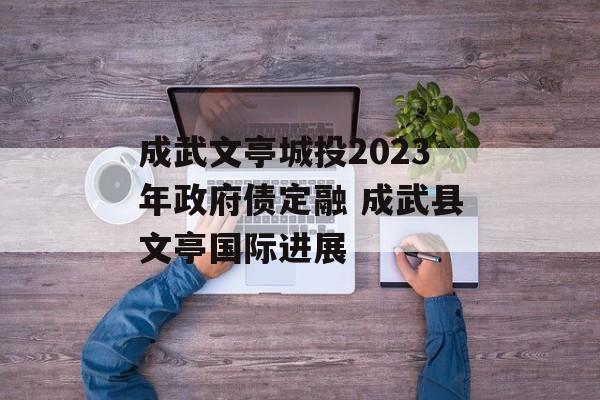 成武文亭城投2023年政府债定融 成武县文亭国际进展