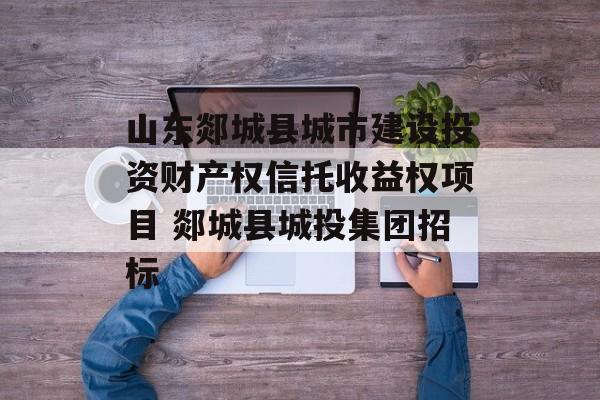 山东郯城县城市建设投资财产权信托收益权项目 郯城县城投集团招标