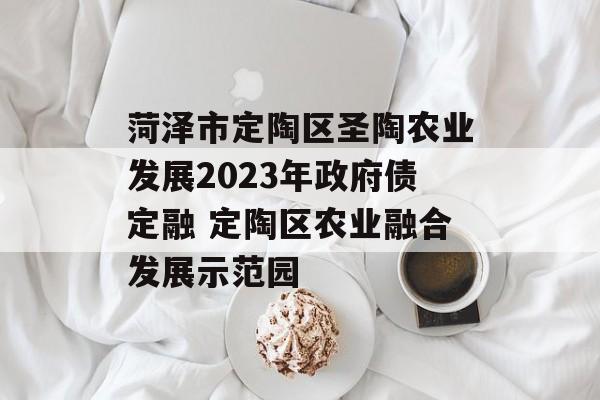 菏泽市定陶区圣陶农业发展2023年政府债定融 定陶区农业融合发展示范园