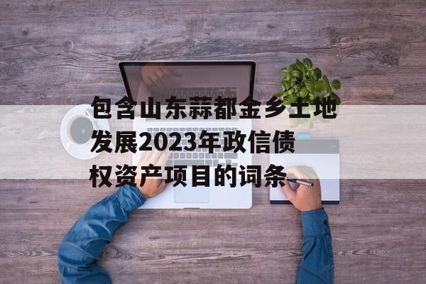 包含山东蒜都金乡土地发展2023年政信债权资产项目的词条