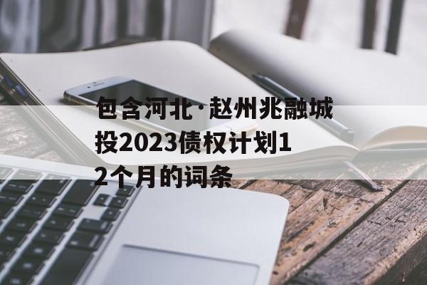 包含河北·赵州兆融城投2023债权计划12个月的词条