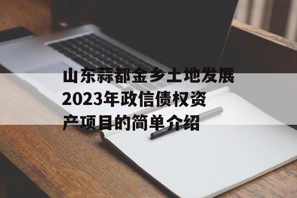 山东蒜都金乡土地发展2023年政信债权资产项目的简单介绍