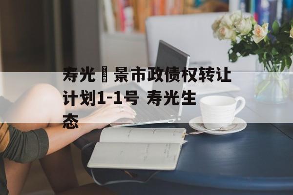 寿光昇景市政债权转让计划1-1号 寿光生态