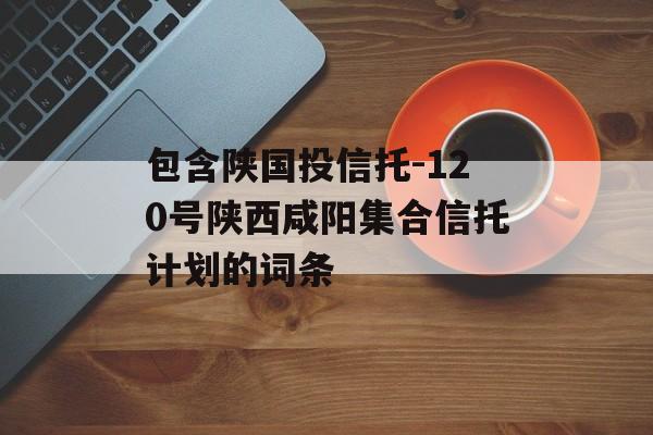 包含陕国投信托-120号陕西咸阳集合信托计划的词条