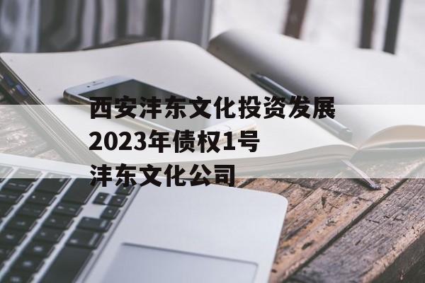 西安沣东文化投资发展2023年债权1号 沣东文化公司