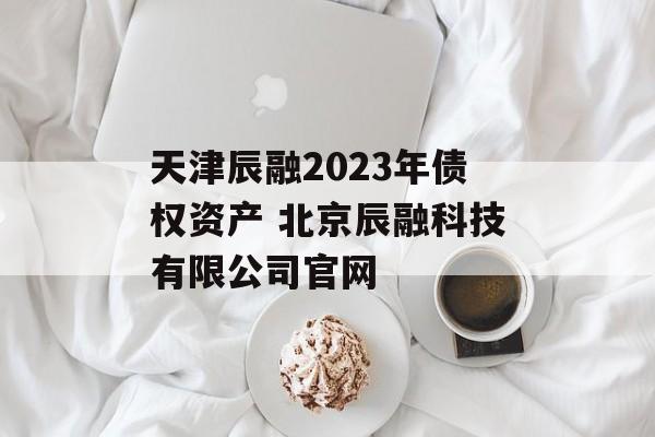 天津辰融2023年债权资产 北京辰融科技有限公司官网