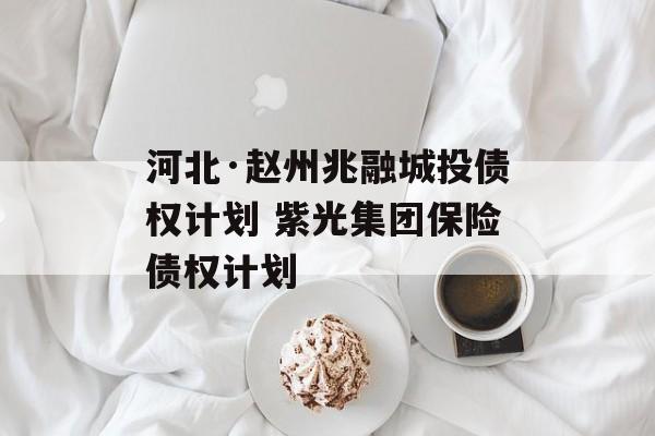 河北·赵州兆融城投债权计划 紫光集团保险债权计划