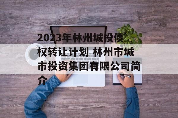 2023年林州城投债权转让计划 林州市城市投资集团有限公司简介