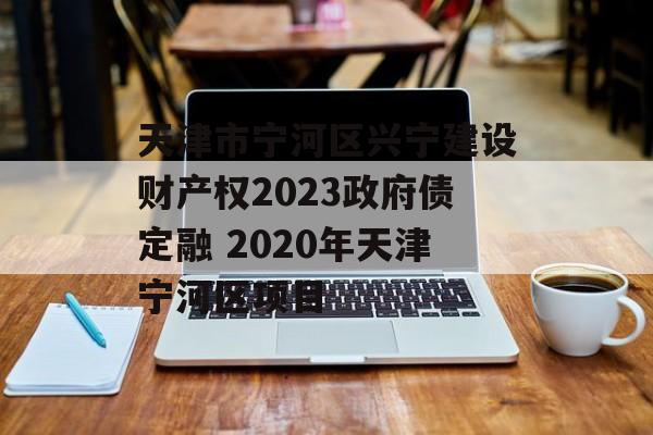 天津市宁河区兴宁建设财产权2023政府债定融 2020年天津宁河区项目