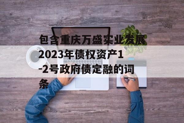 包含重庆万盛实业发展2023年债权资产1-2号政府债定融的词条