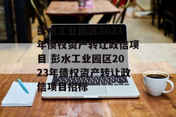 彭水工业园区2023年债权资产转让政信项目 彭水工业园区2023年债权资产转让政信项目招标