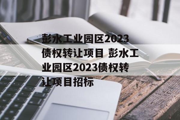 彭水工业园区2023债权转让项目 彭水工业园区2023债权转让项目招标