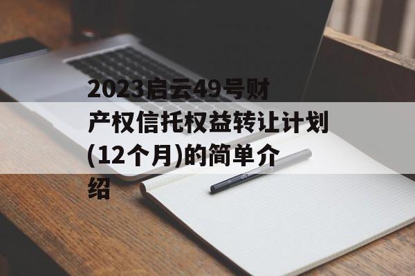 2023启云49号财产权信托权益转让计划(12个月)的简单介绍