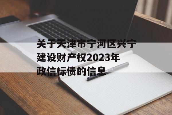 关于天津市宁河区兴宁建设财产权2023年政信标债的信息