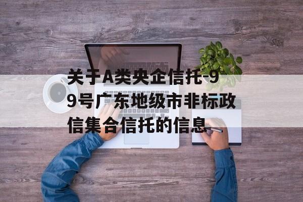 关于A类央企信托-99号广东地级市非标政信集合信托的信息