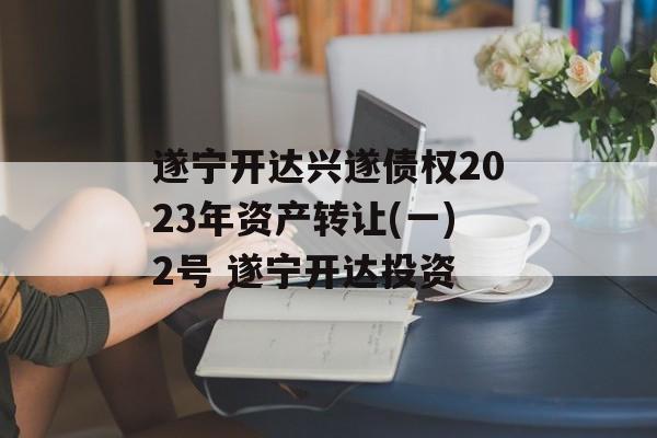 遂宁开达兴遂债权2023年资产转让(一)2号 遂宁开达投资