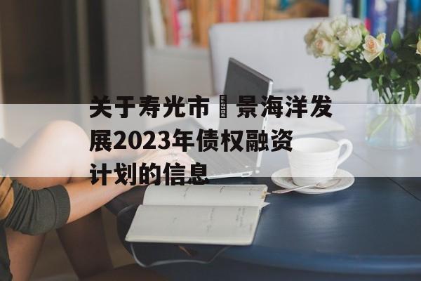 关于寿光市昇景海洋发展2023年债权融资计划的信息