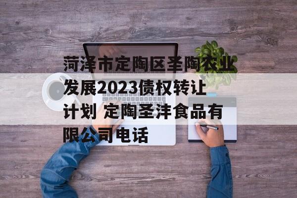 菏泽市定陶区圣陶农业发展2023债权转让计划 定陶圣沣食品有限公司电话