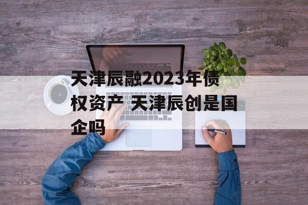 天津辰融2023年债权资产 天津辰创是国企吗