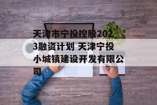 天津市宁投控股2023融资计划 天津宁投小城镇建设开发有限公司