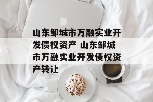 山东邹城市万融实业开发债权资产 山东邹城市万融实业开发债权资产转让